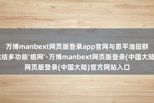 万博manbext网页版登录app官网与恩平油田群其他7个油田完结多功能‘组网’-万博manbext网页版登录(中国大陆)官方网站入口